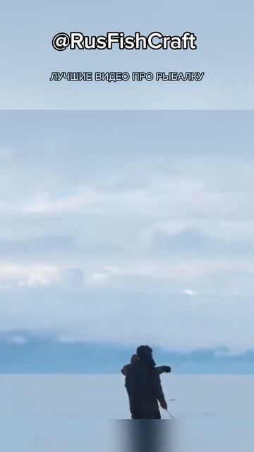 ЛУЧШИЕ ВИДЕО ПРО РЫБАЛКУ! ЛОВЛЯ ОГРОМНЫХ СУДАКОВ! СМОТ смотреть онлайн