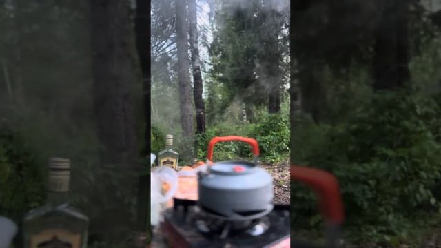 Рыбалка в Архангельской области смотреть онлайн