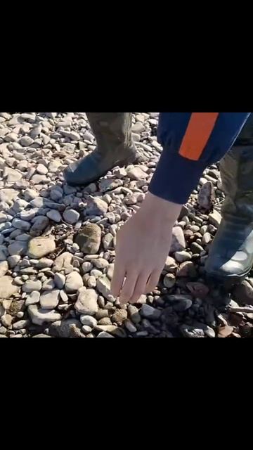 Ленок на ультралайт #рыбалка #природа #fishing #осень #ульт смотреть онлайн