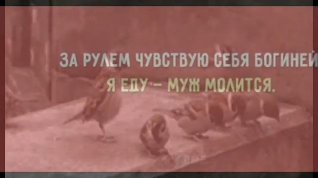 Просто офигенно хорошее позитивное Видео! смотреть онлайн