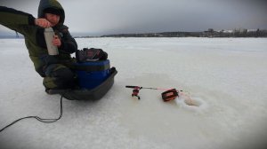 В Поисках ОНЕЖСКОГО ОКУНЯ! Зимняя рыбалка 2025!