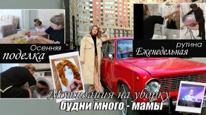 МОТИВАЦИЯ НА УБОРКУ / ВЛОГ много мамы / Поделка в детский сад /