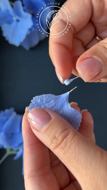 Ультрамариновая гортензия из холодного фарфора. Моме? смотреть онлайн
