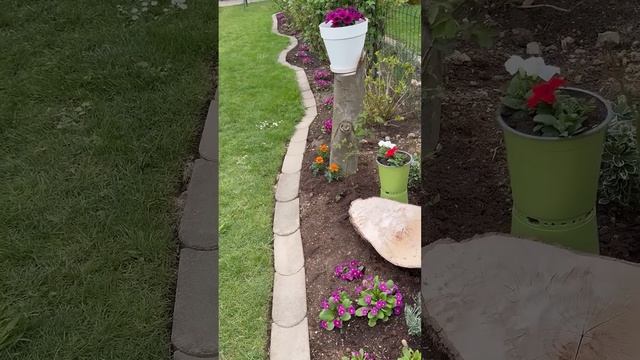 Цветущий  огород- весенняя красота вокруг 🌷🌸🌺15.4.25 г