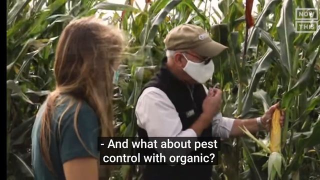 Что такое регенеративное земледелие? смотреть онлайн