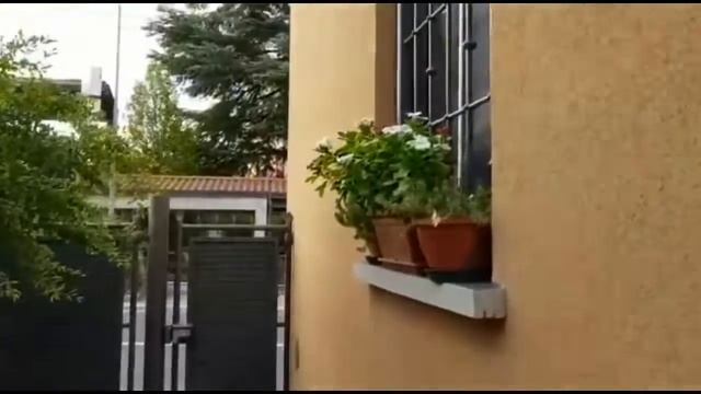 Демонтировали бассейн. Игра с мячом. ⚽️ смотреть онлайн