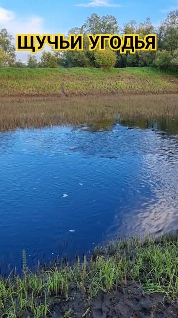 Щучьи Угодья #рыбалка #fishing #ЮГРА #хмао смотреть онлайн