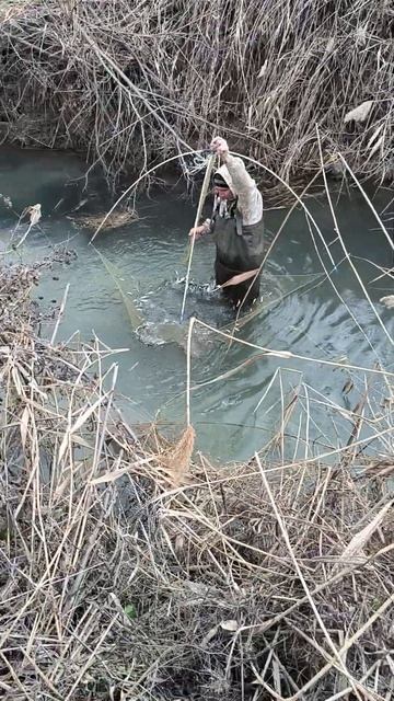 С новым годом 01.01.2025.