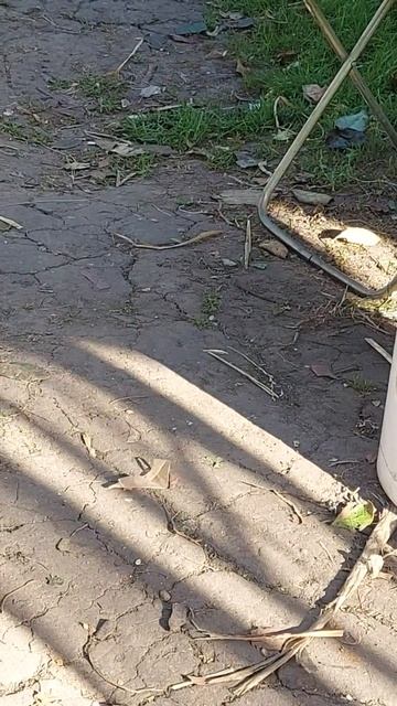 Здесь есть чем полакомиться ...#лето #красота смотреть онлайн