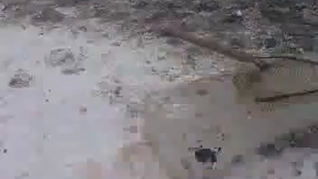 зимняя рыбалка из  ПОДОЛЬДА