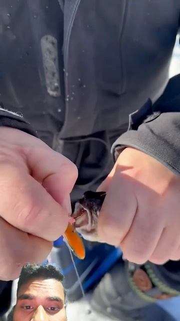 😱🔥Arctic char fishing/ Рыбалка на арктического гольца #pandasakha? смотреть онлайн