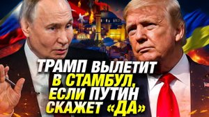 Переговоры в Стамбуле: приедет ли Трамп? Путин и Зеленский готовы к встрече