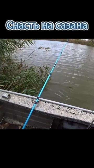 Снасть на сазана 🎣 #Рыбалка #Шортс #Лайфхаки #Советы #У смотреть онлайн