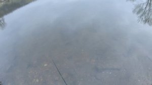 Обзор на копию Jackall Micro Tappy 2gr. Micro Tappy с алиэкспресса за к