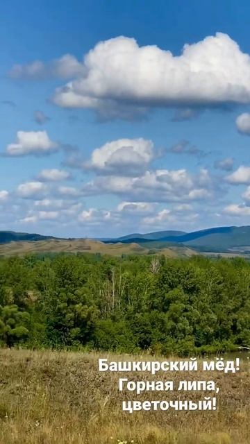 Башкирский мёд из заповедной зоны, без добавок! Горная смотреть онлайн