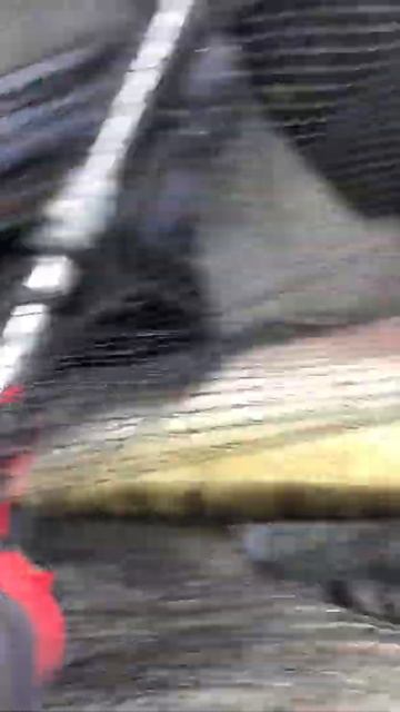 Судак на 8200 гр. Углическое водохранилище смотреть онлайн