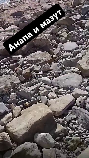 черное море #Анапа #мазут. много на каменном пляже оста