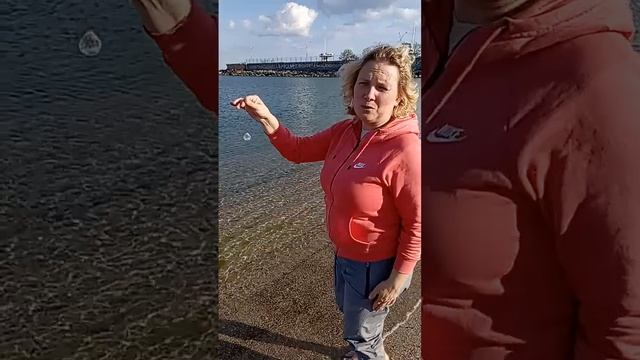 В День Рождения Елены ей дары приносит Чаша жизнерадостного моря... 13.05. Мир Универсологии