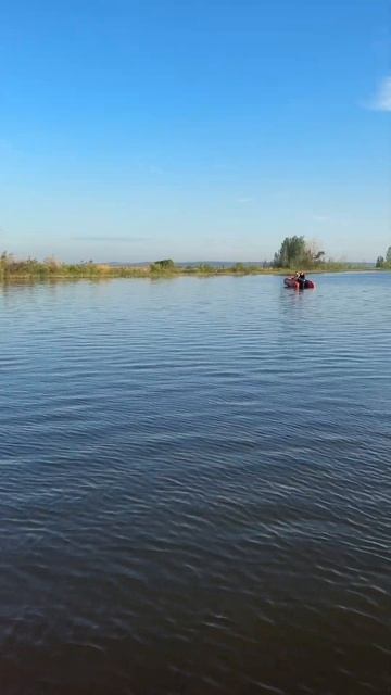 Первый судак! Рыбалка 2024! #fishing #shortvideo #рыбалка #shorts смотреть онлайн