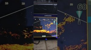 Lowrance Active Target 2 (демонстрационный режим)