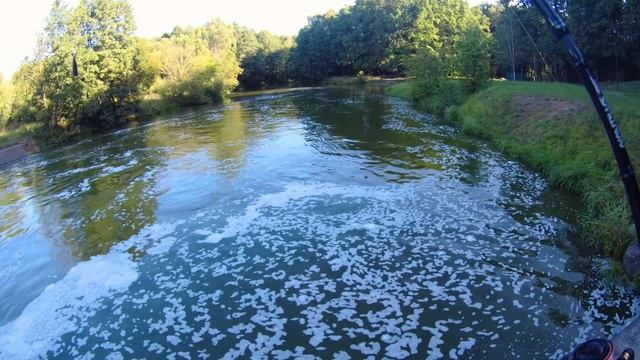 Окунь ЖРЕТ! Оснастка ДРОП-ШОТ косит окуня. Часть 1. смотреть онлайн