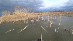 Удачная рыбалка на охоте. Цимлянское водохранилище.