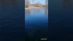 рыбалка на реке Клязьма 22.03.2025 в Подмосковье подержка ?