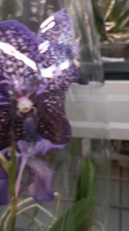 YouCut_20250513_213401201.mp4