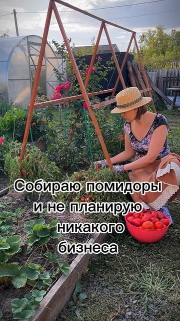 В новом времени можно зарабатывать не выходя из дома ,