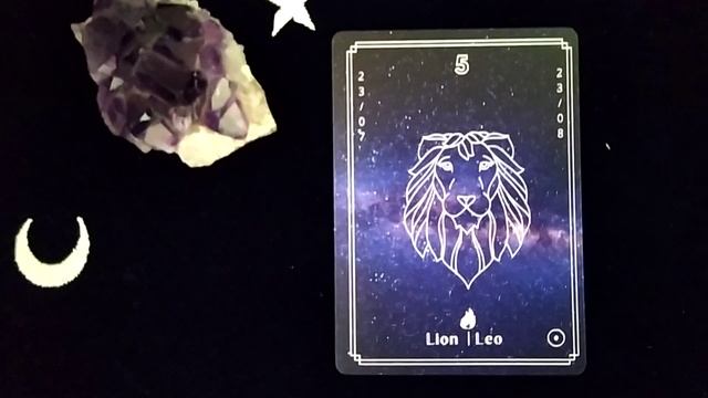 Le Lion,de 28 ans à 35 ans. Лев, с 28 лет до 35 лет. смотреть онлайн