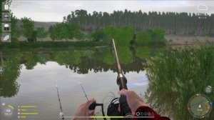 Русская Рыбалка 4 - ТОЛСТОЛОБИК НА РЕКЕ СУРА! ТУЧА ТОЛС?