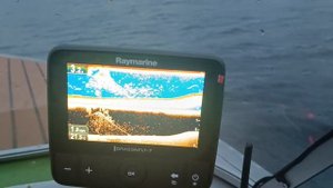 Raymarine Dragonfly 7 Сканирование топляка.