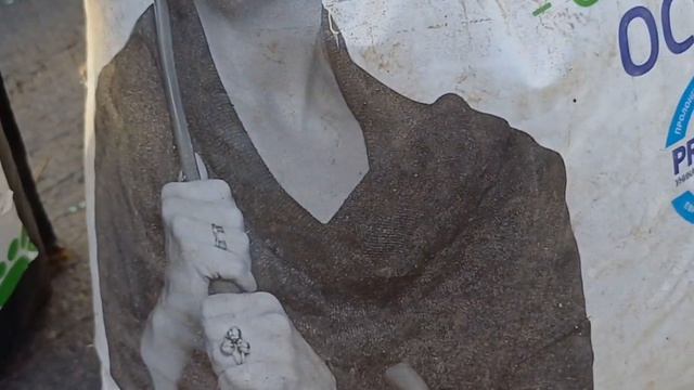 Подмосковный сентябрьский мороз, убил все цветение го смотреть онлайн