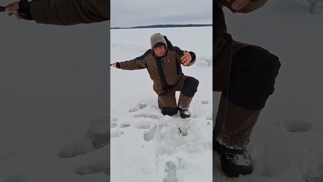 fishing. рыбалка на хариуса. #карелия #севернаякарелия #ры? смотреть онлайн