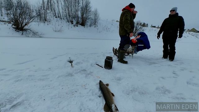 Что делать при встрече с МЕДВЕДЕМ?Рыбалка с БОЛЬШИМИ н смотреть онлайн