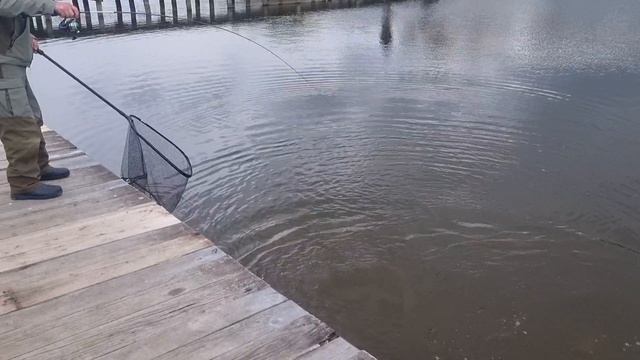 13-05-2025 смотреть онлайн