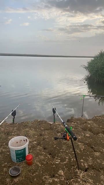 Рассвет #crimea #fishing #2024 #carpfishing #крым #рыбалка #феодосия #м? смотреть онлайн