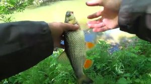 Рыбалка на красивой речке. Ловля на спиннинг весной.