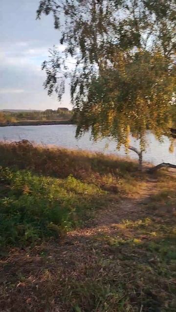 Осенняя рыбалка в Гуляй-поле #гуляйполе #карп #рыбалка смотреть онлайн