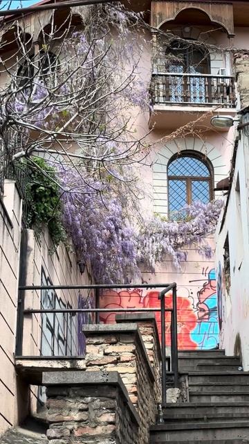 Дома утопают в глицинии. Жаль, что видео не передает ее смотреть онлайн