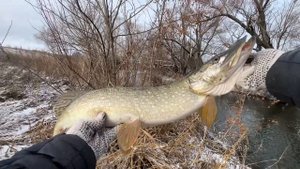Ловля щуки на малой реке поздней осенью! Влетел приятн