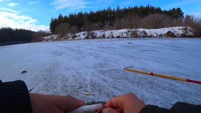 ПЕРВЫЙ ЛЁД! ОПАСНЫЙ НО ЩЕДРЫЙ! НЕОЖИДАЛ ТАК ПОЛОВИТЬ! Р смотреть онлайн