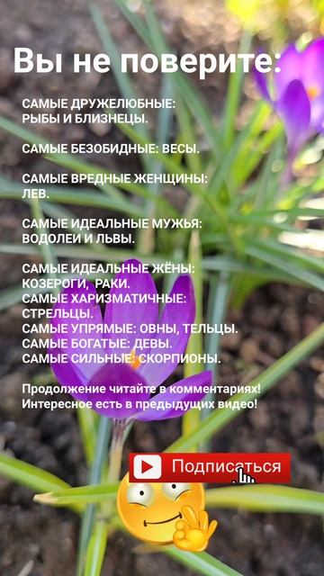 Вы не поверите! / Самые безобидные, самые богатые / Зна? смотреть онлайн