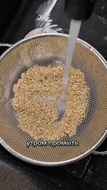 Корж/блин из зеленой гречки! #завтрак #ппзавтрак #рецеп смотреть онлайн