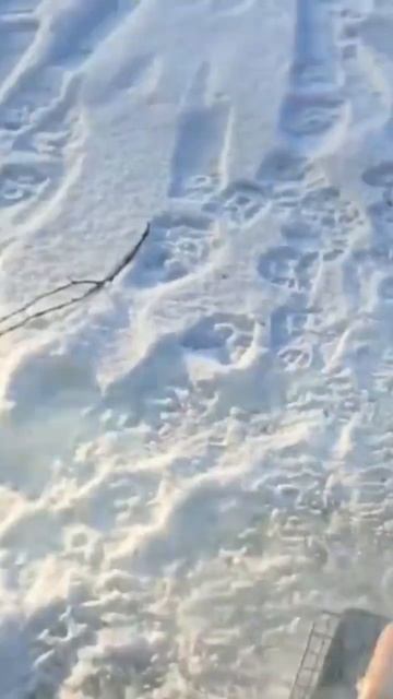 #хмаоюгра#рыбалка#сургут смотреть онлайн