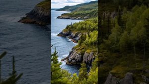 Красивая песня - манифест "Разрешаю себе себя". Стихи - ?