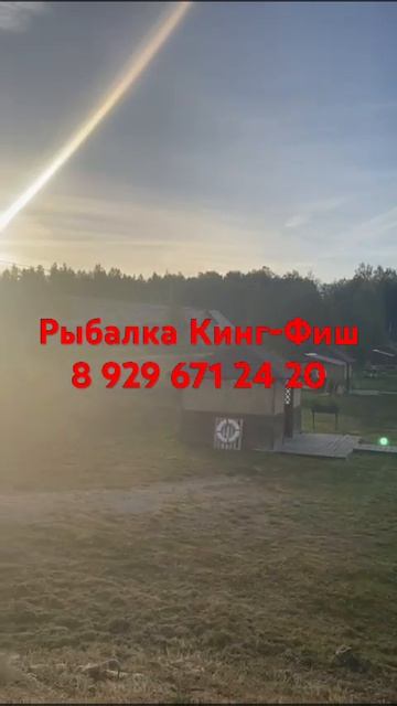 Солнечное утро в Кинг-Фиш. Обстановка на 21.09.24г. смотреть онлайн