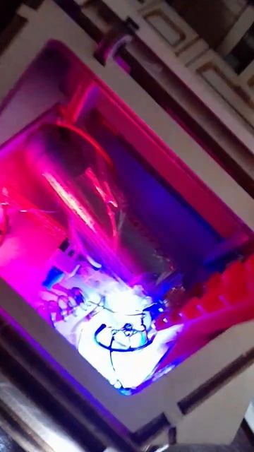 свет в газель из дерева смотреть онлайн