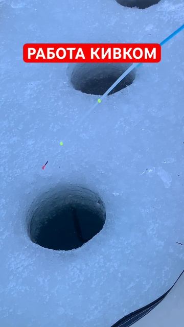 #162 #подлещик #зимняярыбалка | Как играть кивком | смотреть онлайн