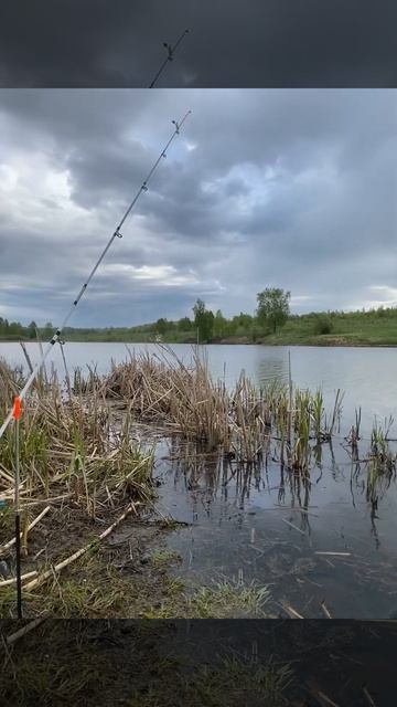 Как выходные?в программе на сегодня,рыбалка и может вы смотреть онлайн